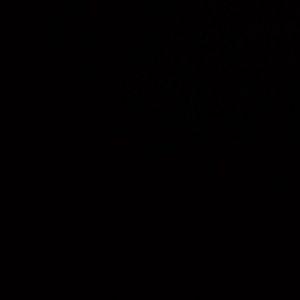 Meet your Posher, Abigail